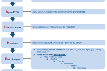 Nouveau référentiel Traum&rsquo;Ara